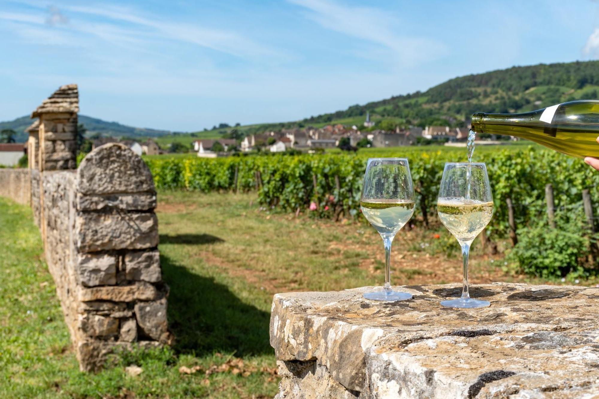Charmante Maison Climatisee Avec Son Jardin A 10 Minutes De Dijon Marsannay-la-Côte Exterior foto